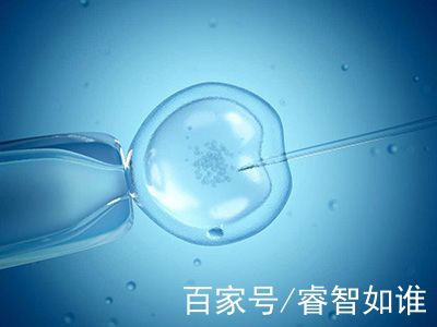 高龄二胎成功案例